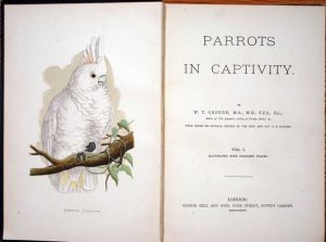Parrots in Captivity
