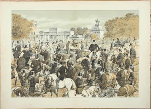 The Row in the Season