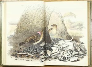 The Birds of Australia